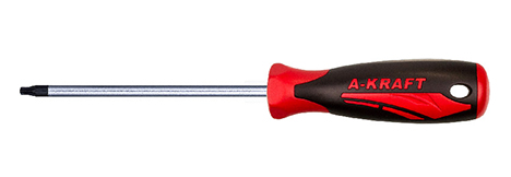 Screwdriver for TORX Screws