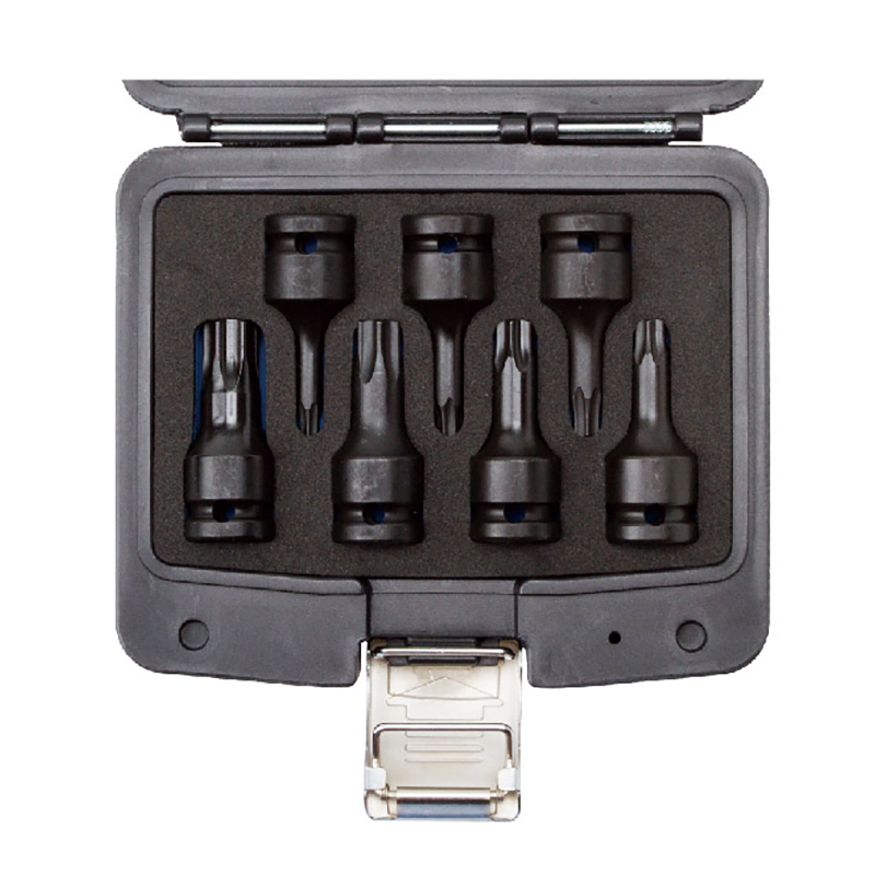 A-PRO Blow Mold Case